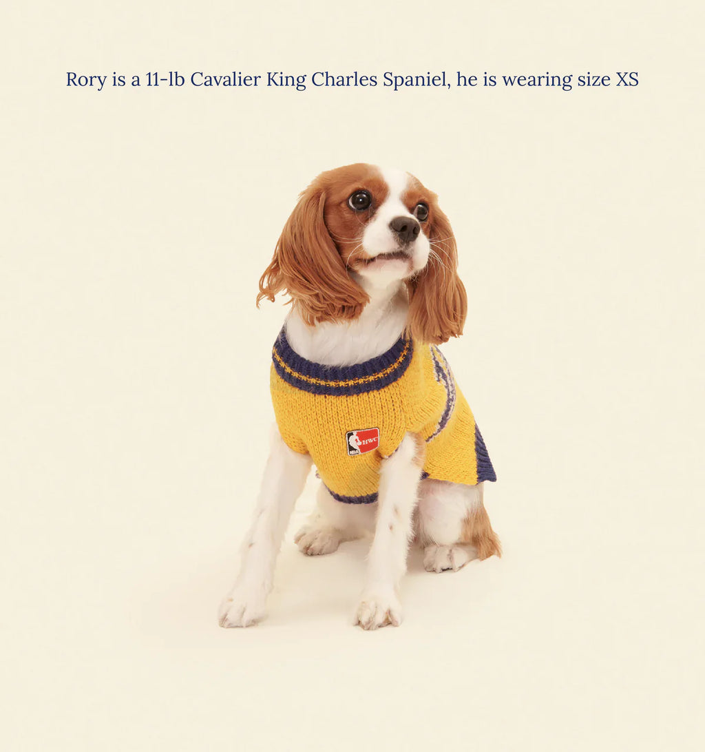 Los Angeles Lakers Dog Sweater - NBA