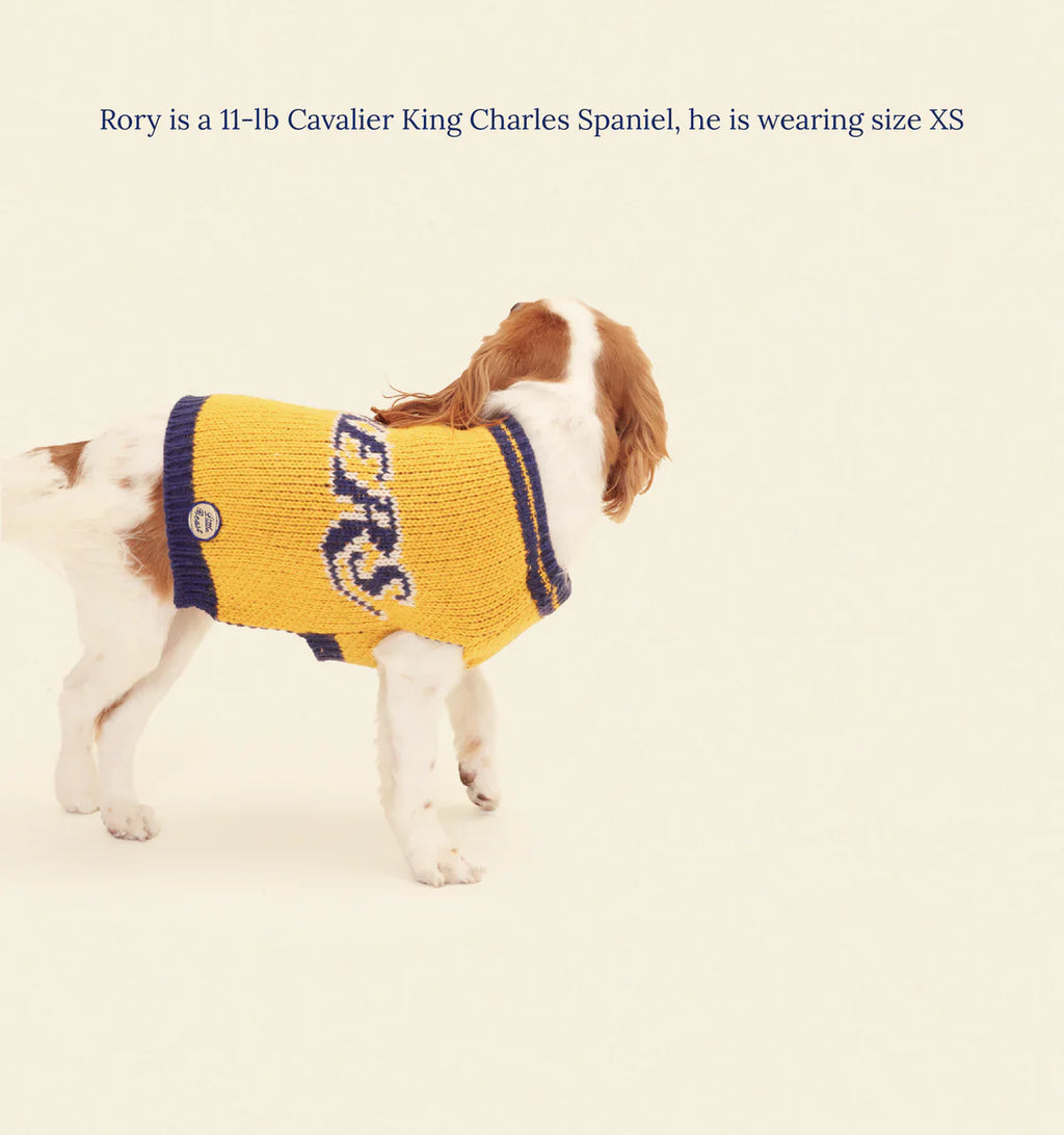 Los Angeles Lakers Dog Sweater - NBA