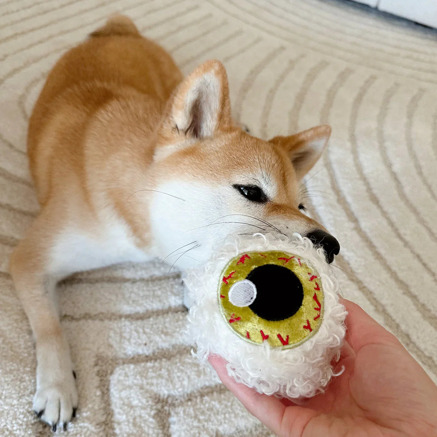 Spooky Eye Halloween Dog Toy