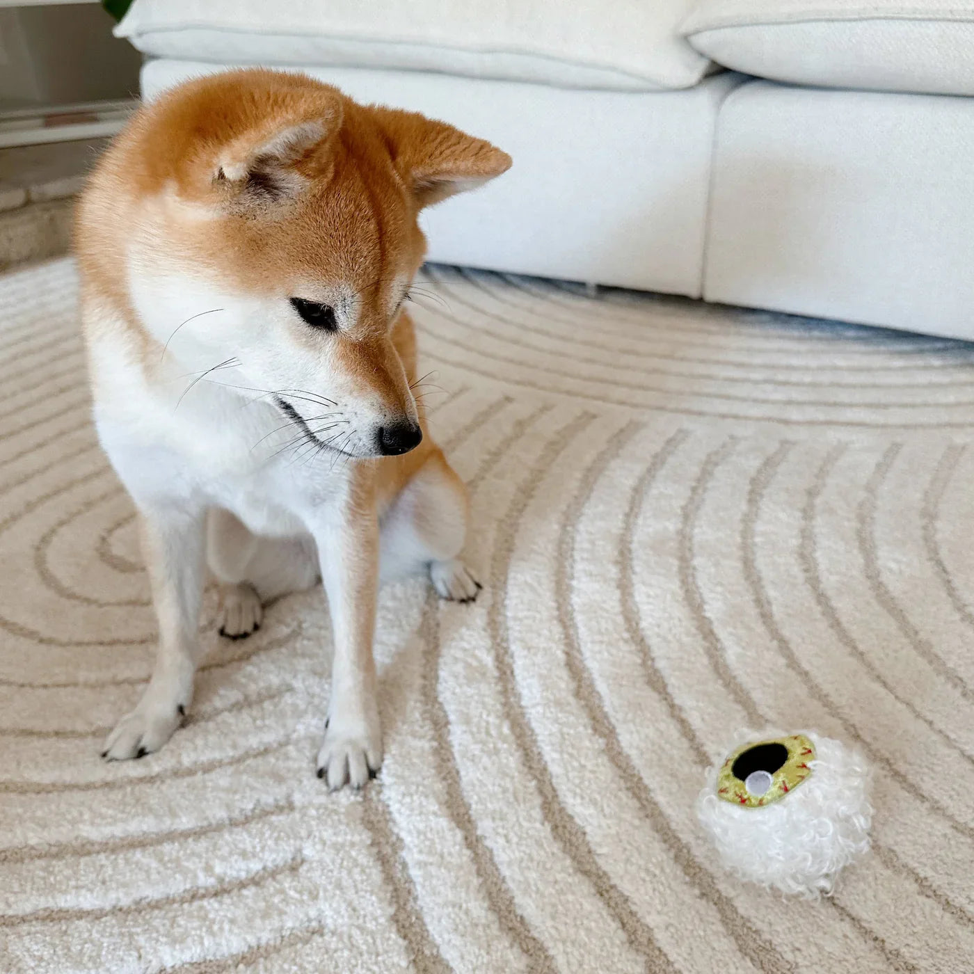 Spooky Eye Halloween Dog Toy