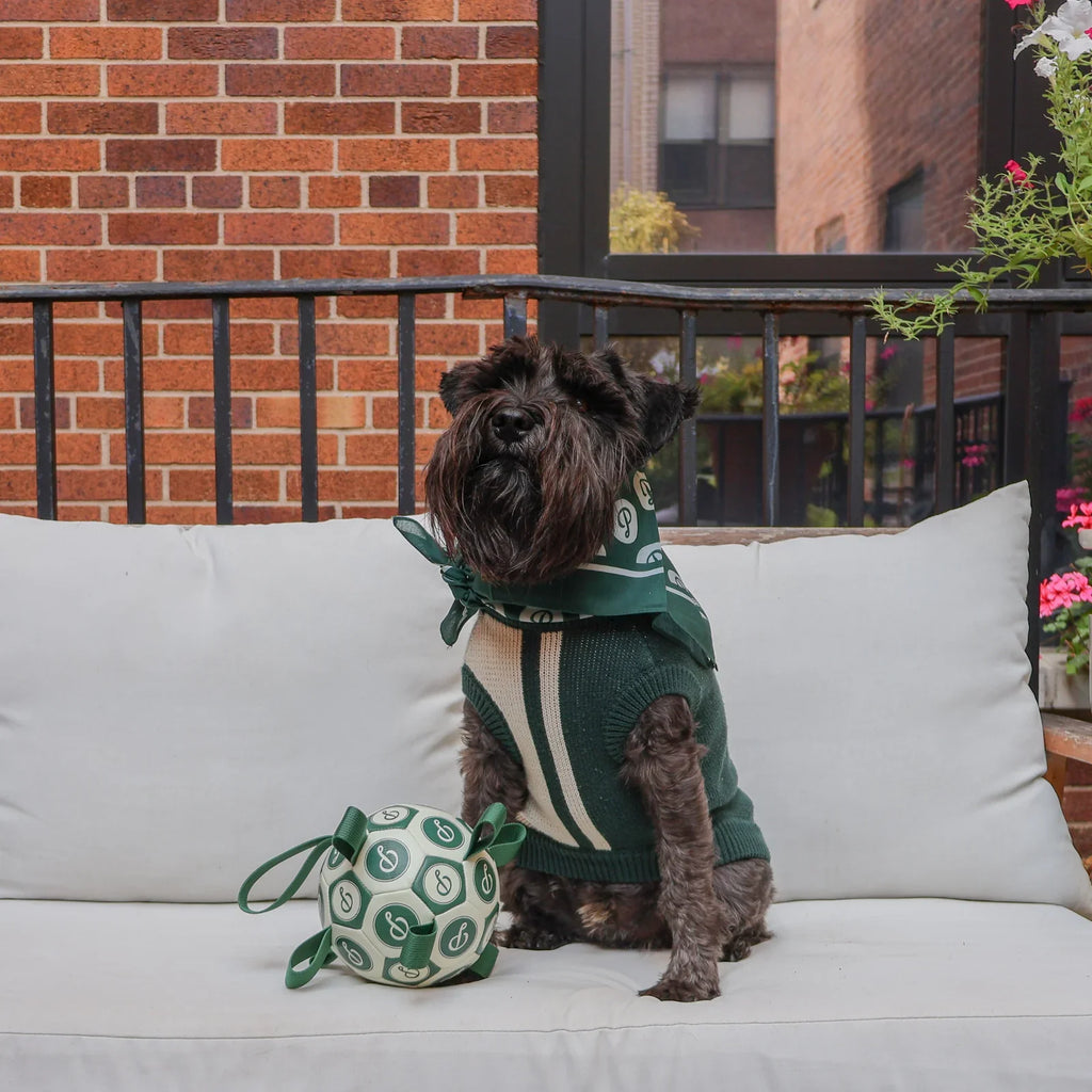 Puppster Soccer Ball