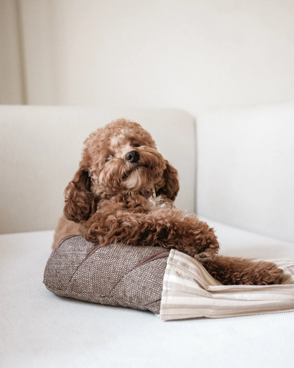 Rye Enrichment Dog Toy