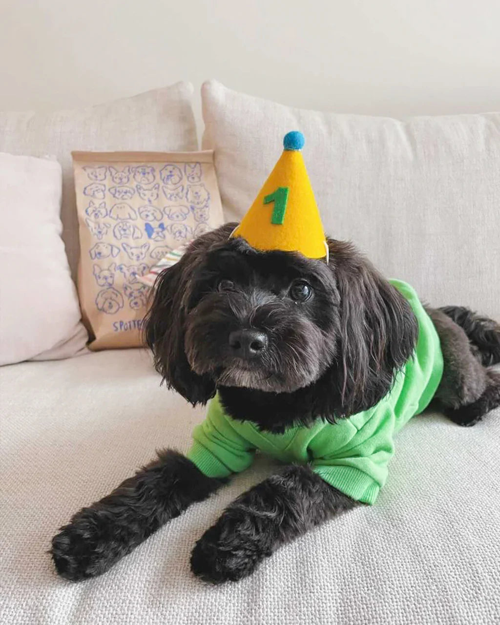 Number Pawty Hat