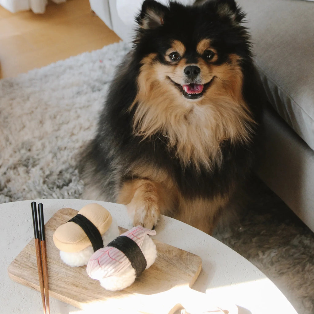 Sushi Enrichment Dog Toy