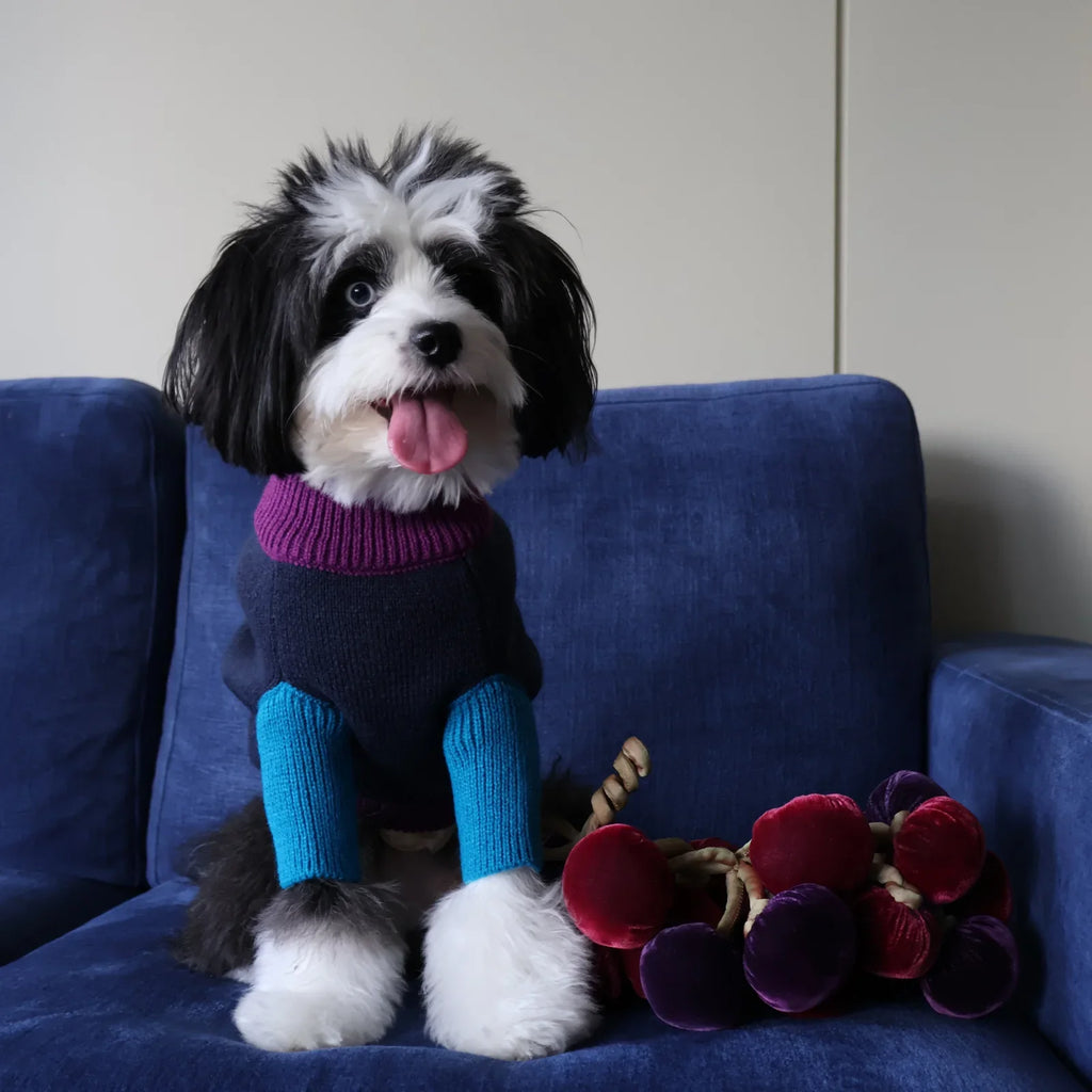 Madison Colorblock Sweater