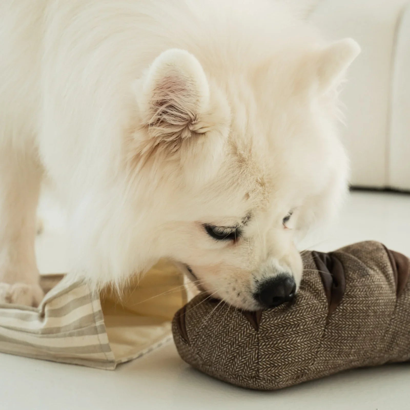 Rye Enrichment Dog Toy