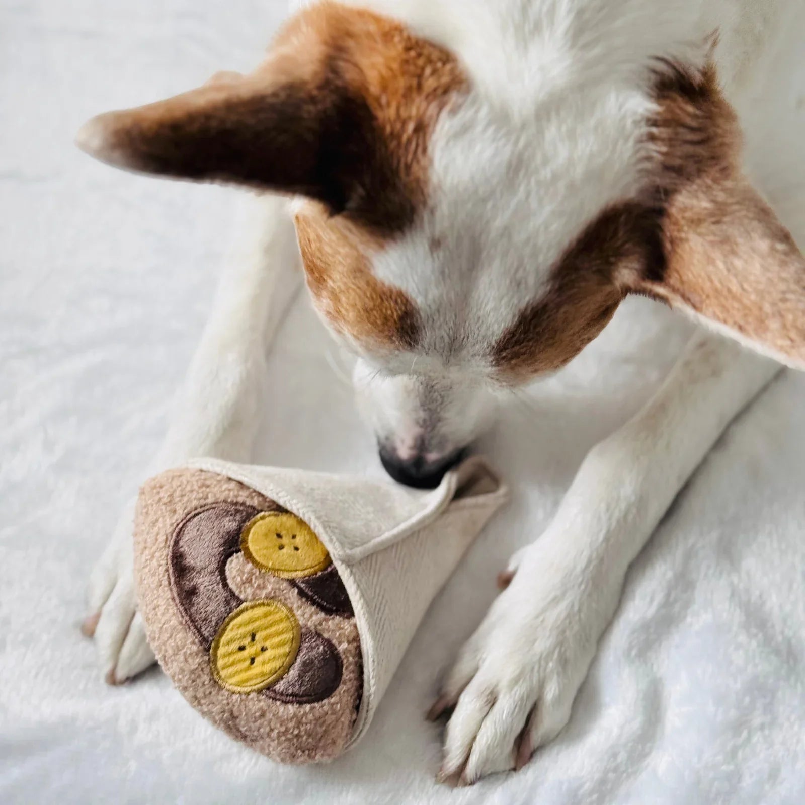 Crepe Enrichment Dog Toy