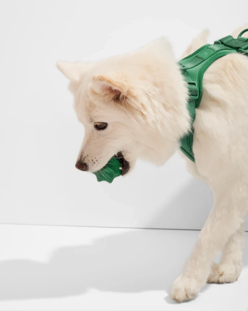 Twist Toss Toy - Small