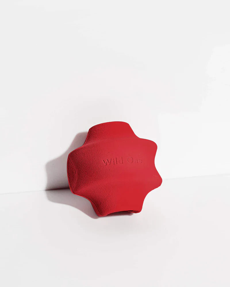 Twist Toss Toy - Standard