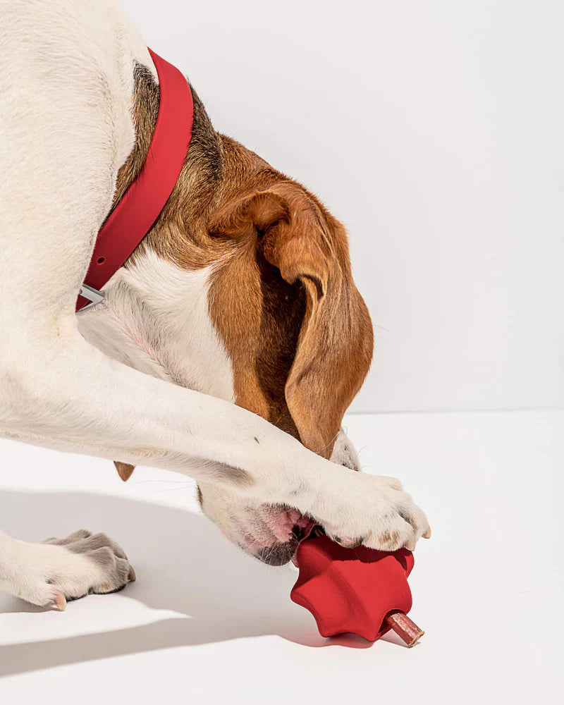 Twist Toss Toy - Standard