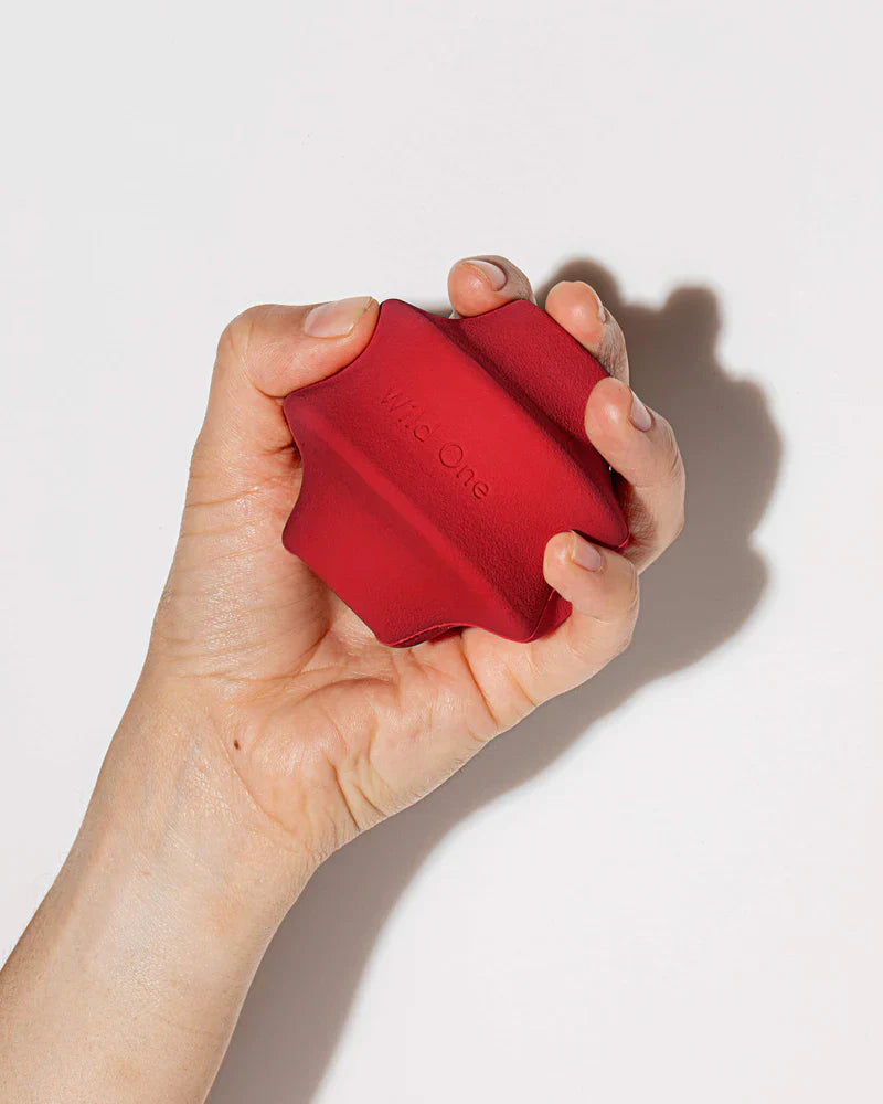 Twist Toss Toy - Standard