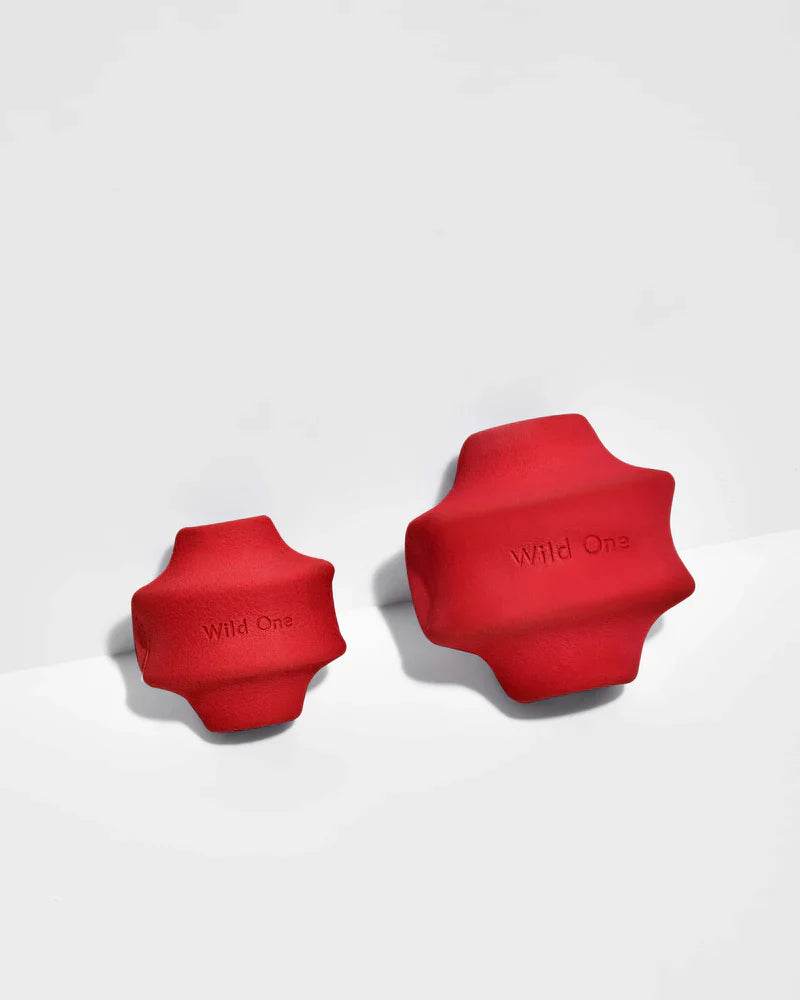 Twist Toss Toy - Standard