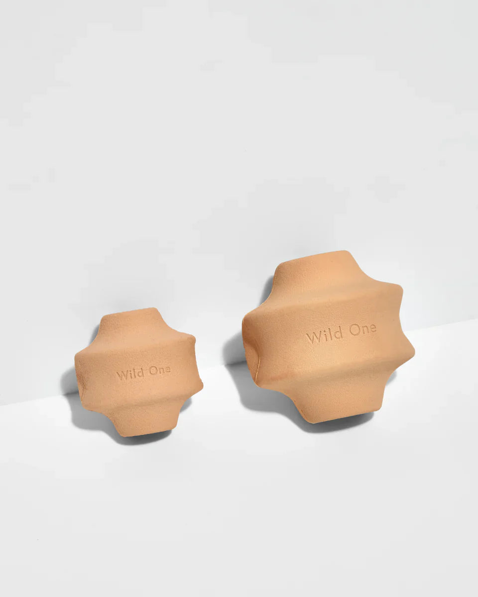 Twist Toss Toy - Standard