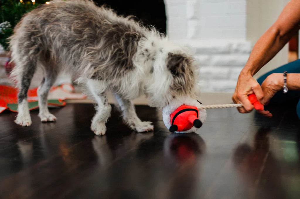 Merry Woofmas Clumsy Claus Toy