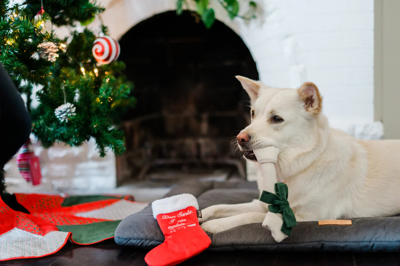Merry Woofmas Good Dog Stocking Toy