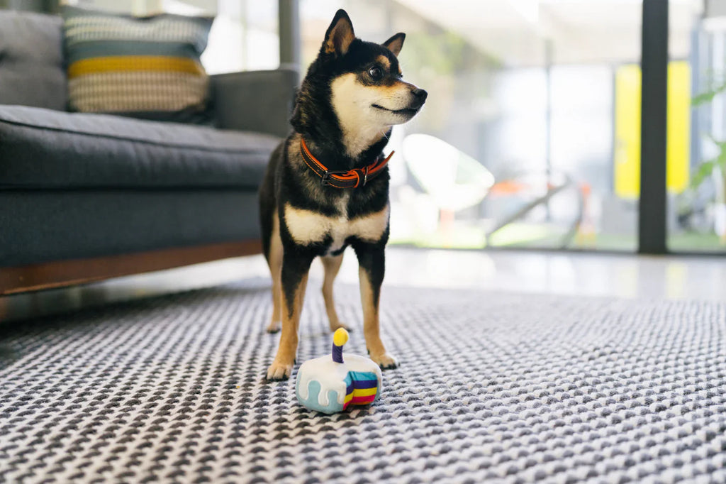Mini Party Time Bone-appetite Cake Toy
