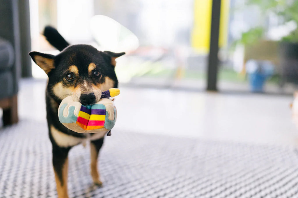 Mini Party Time Bone-appetite Cake Toy