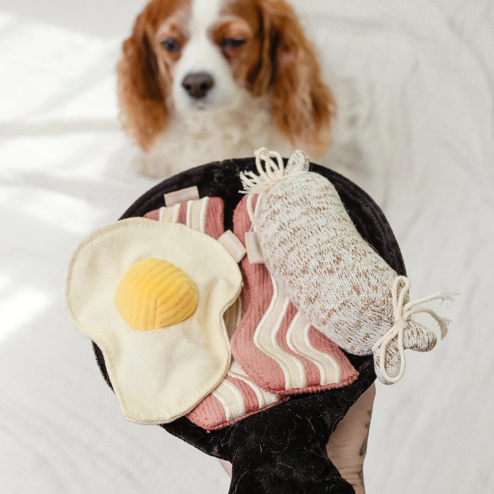 Bfast Set Dog Toy