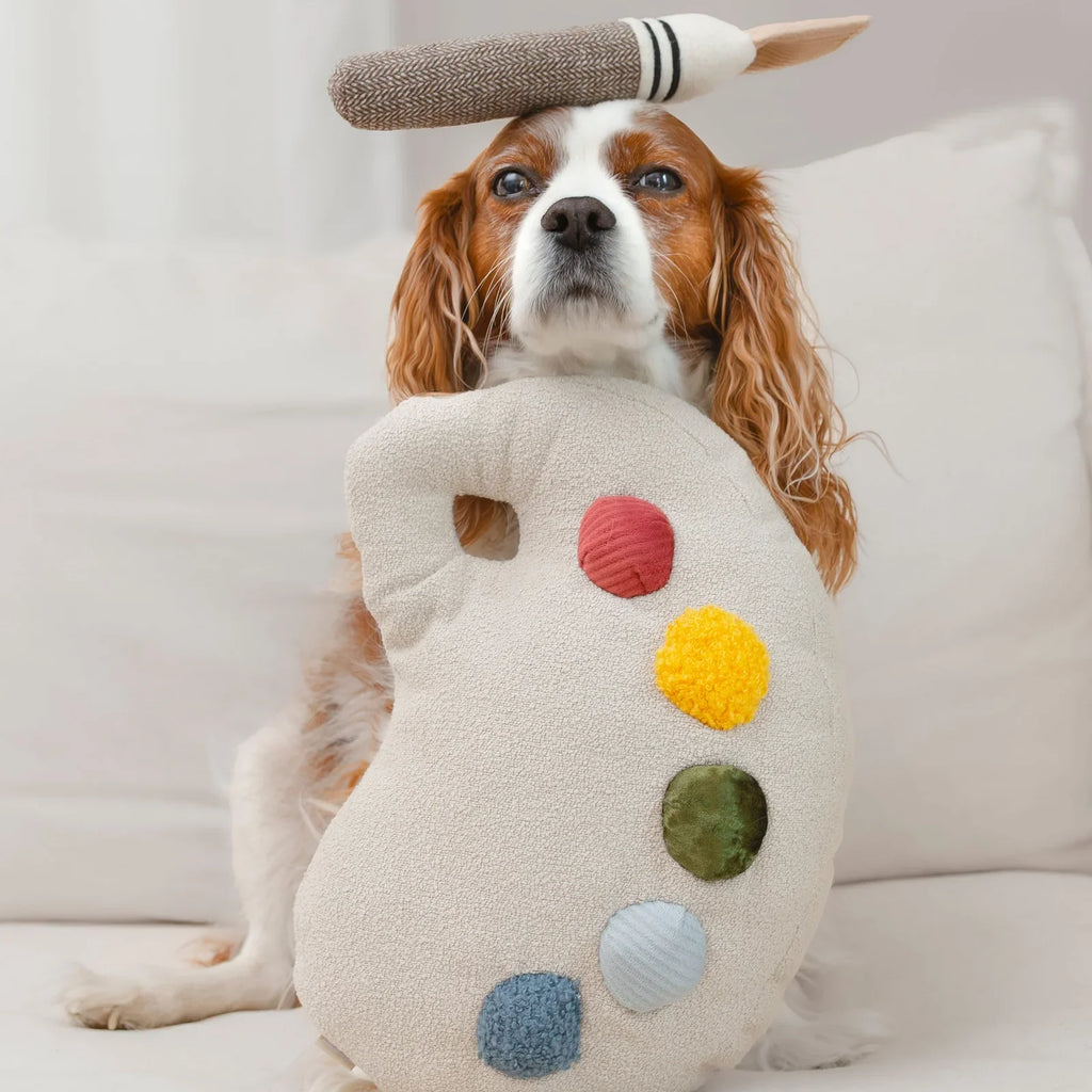 Color Palette Set Dog Toy