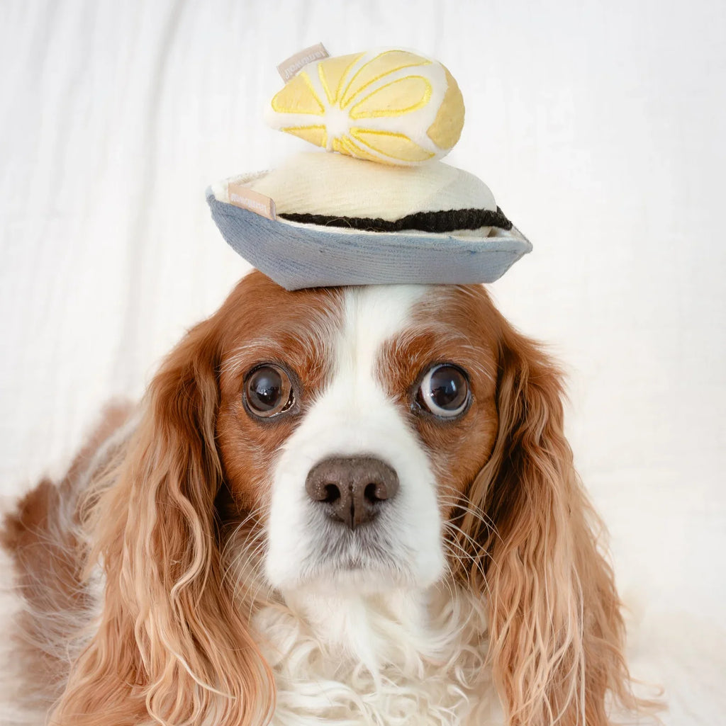 Gillardeau Enrichment Dog Toy