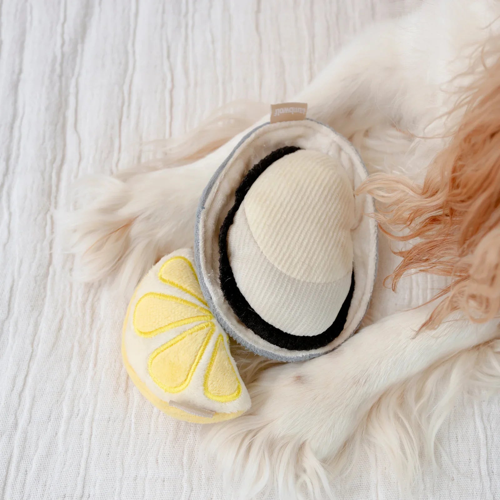 Gillardeau Enrichment Dog Toy