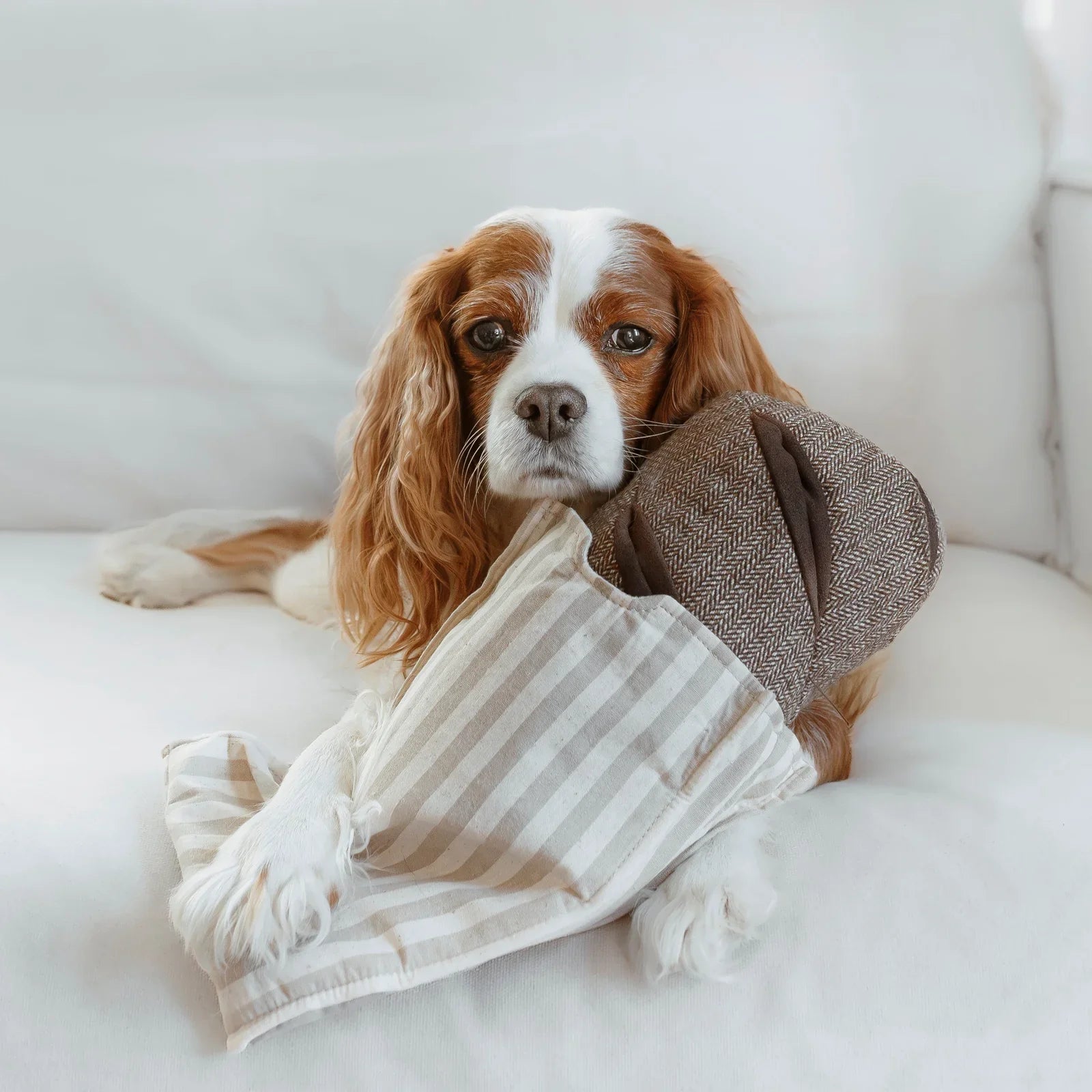 Rye Enrichment Dog Toy