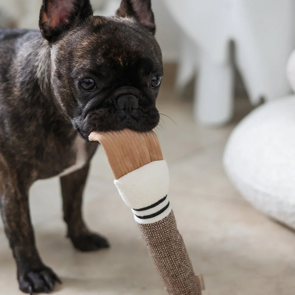 Color Palette Set Dog Toy