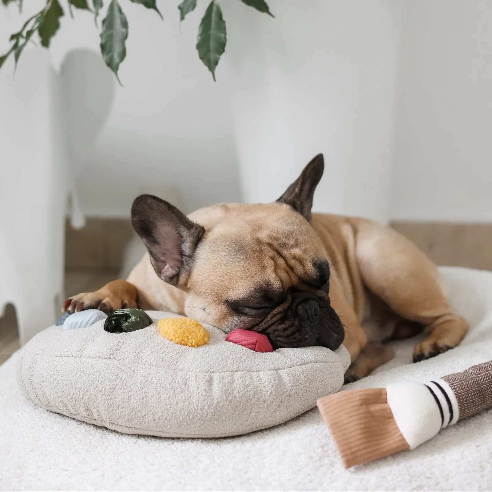 Color Palette Set Dog Toy