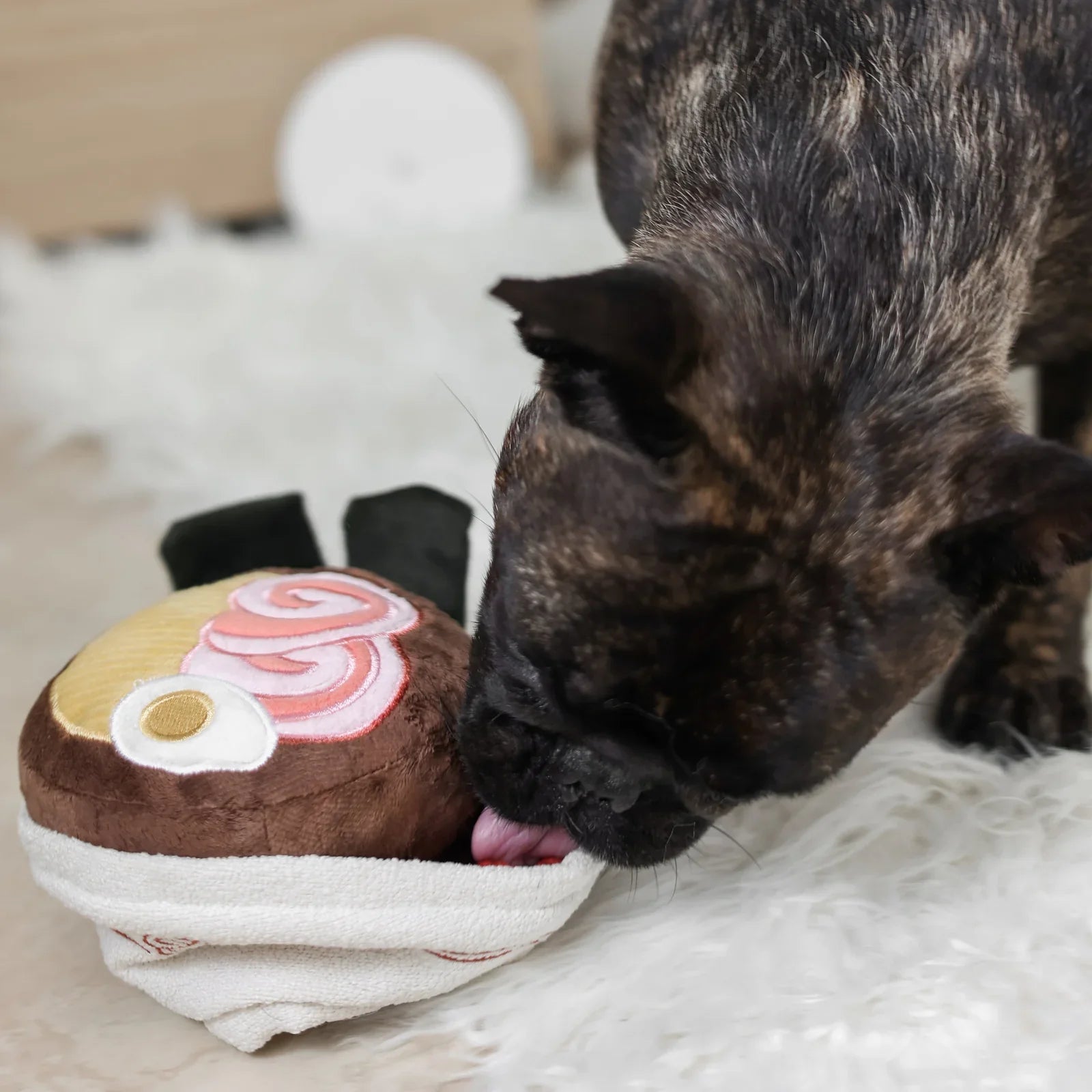Ramen Enrichment Dog Toy